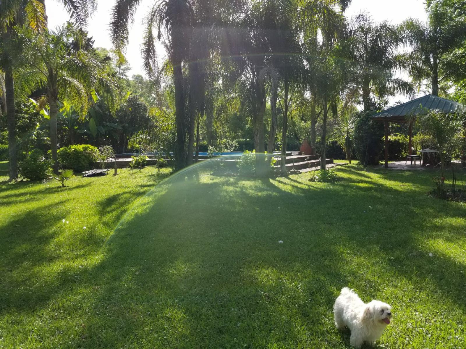 D · Moreno — foto 5