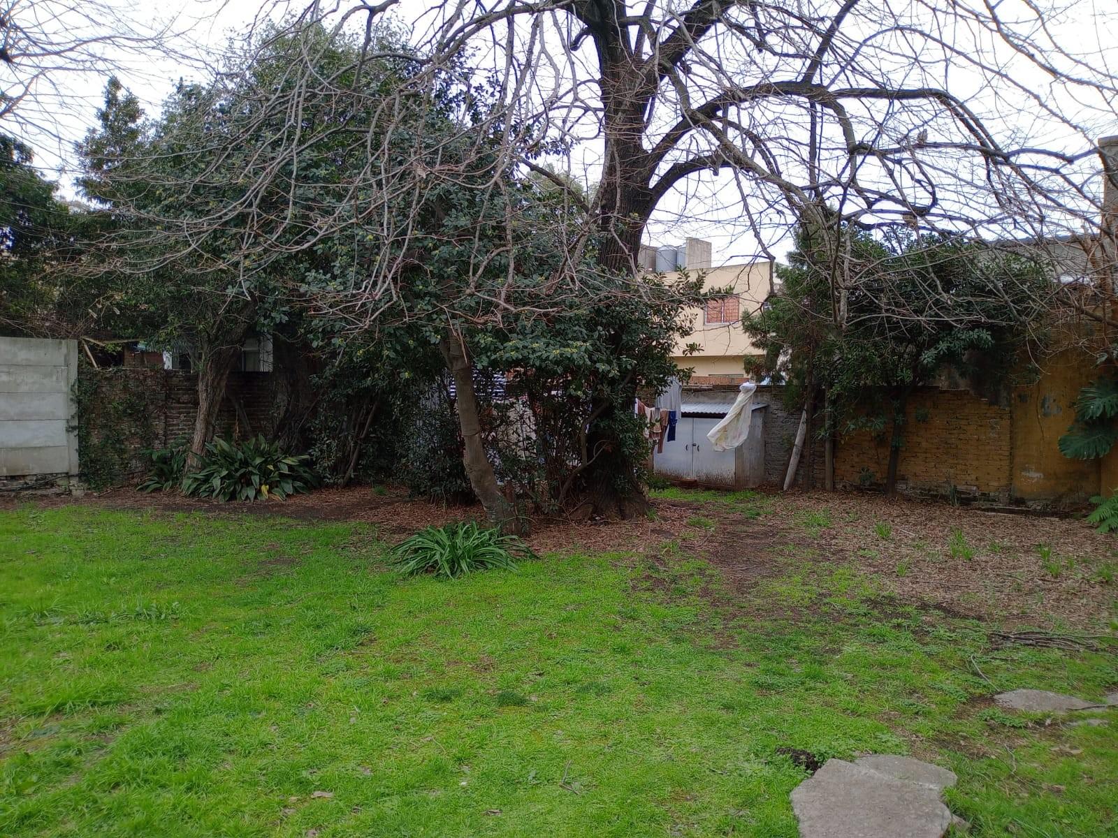 Libertad · San Miguel — foto 22