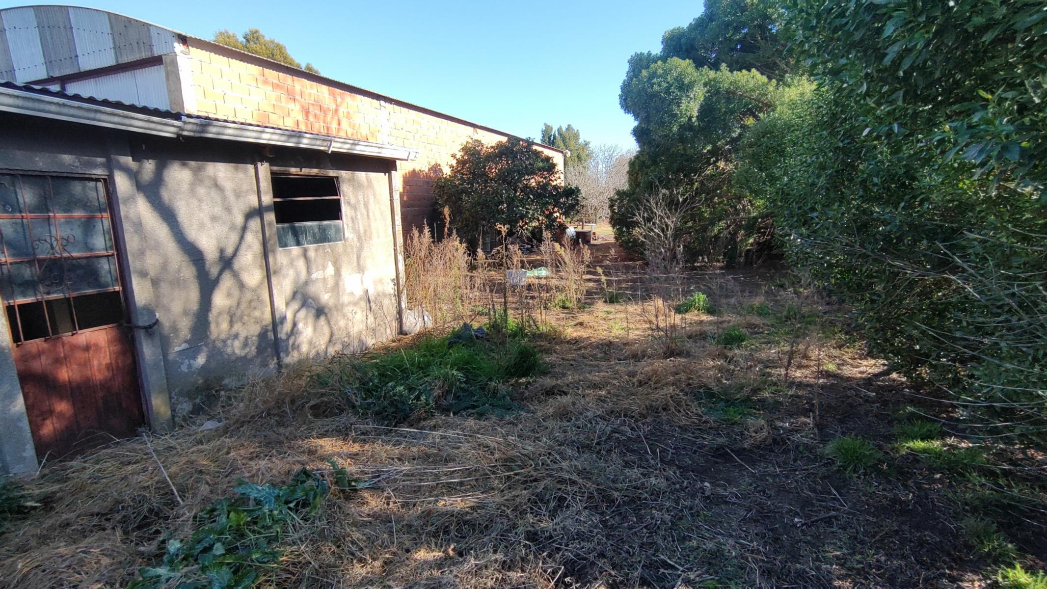 VENDO CASA EN ORENSE (J M ESTRADA 147) · Tres Arroyos — foto 14