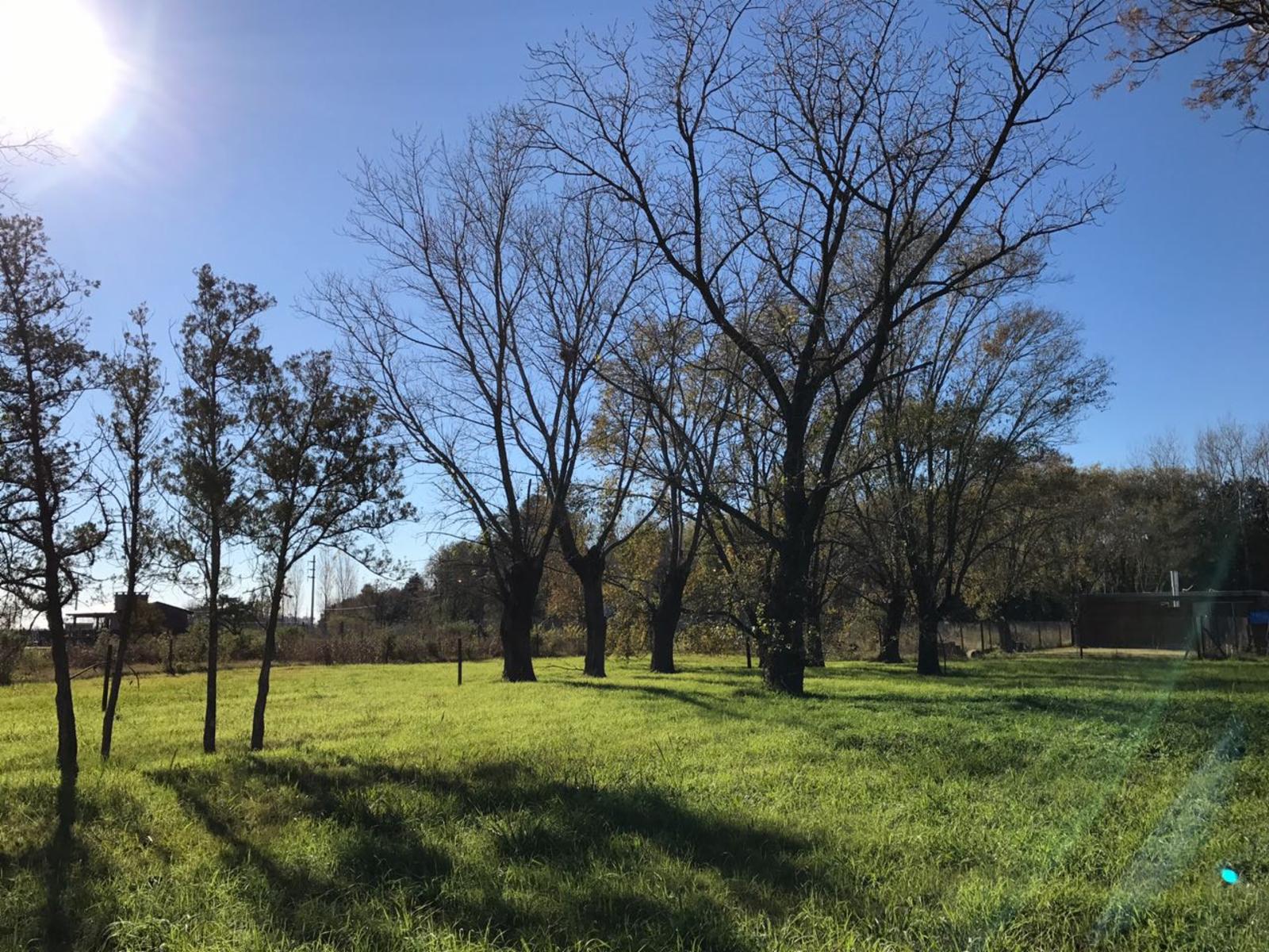 ROLDAN · Rosario — foto 5