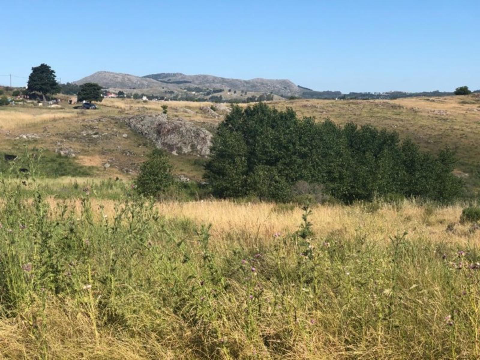 TANDIL · Tandil — foto 11