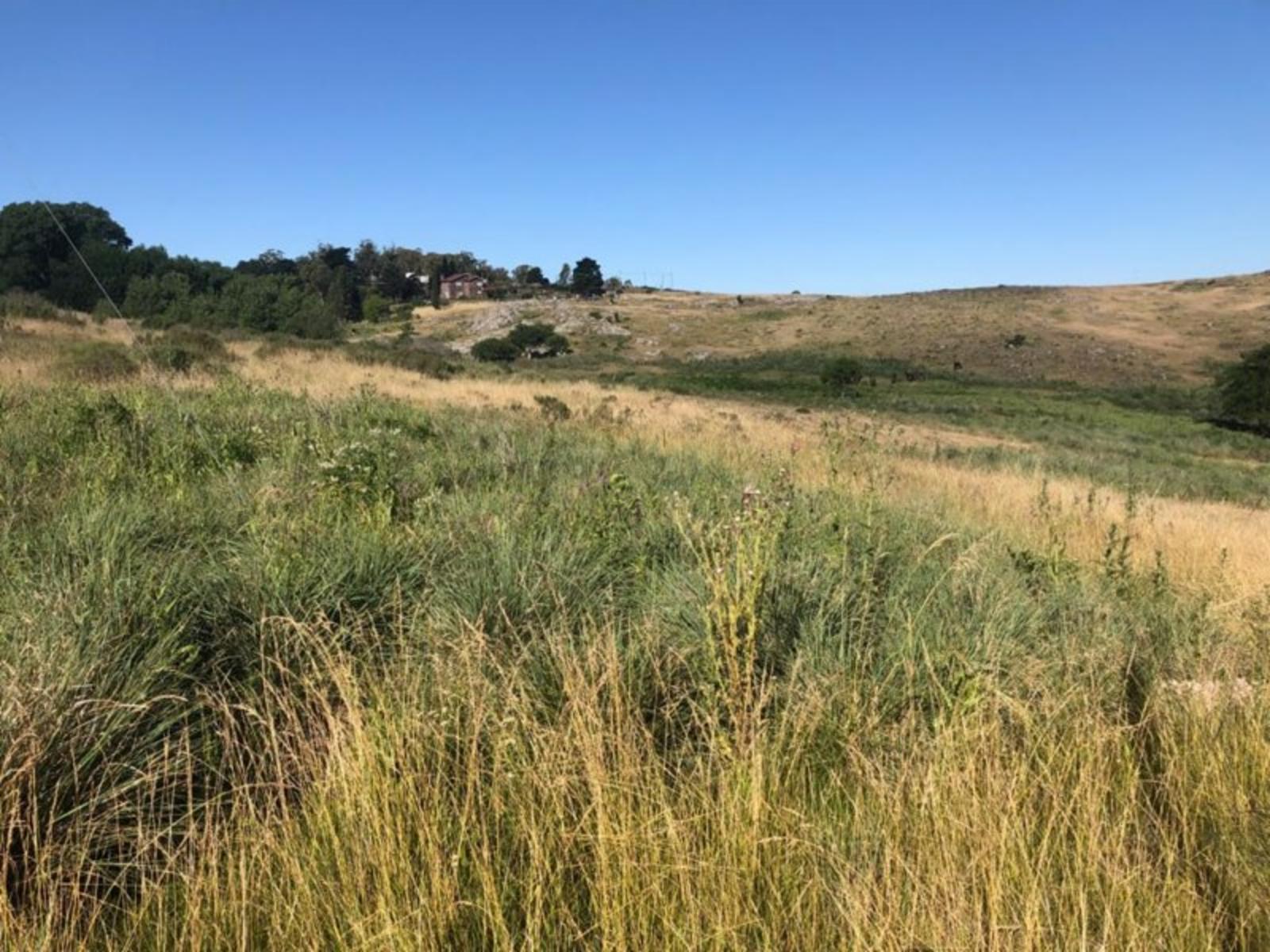 TANDIL · Tandil — foto 6