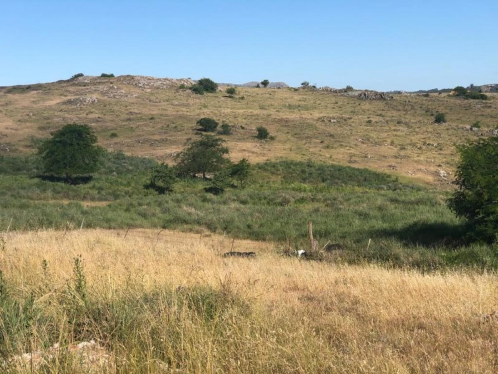 TANDIL · Tandil — foto 8