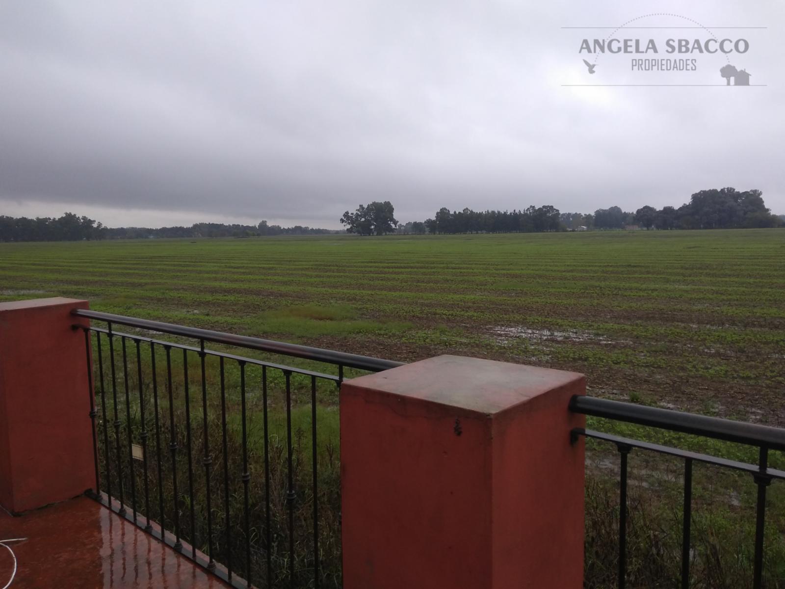 Corzuela · Exaltacion De La Cruz — foto 7