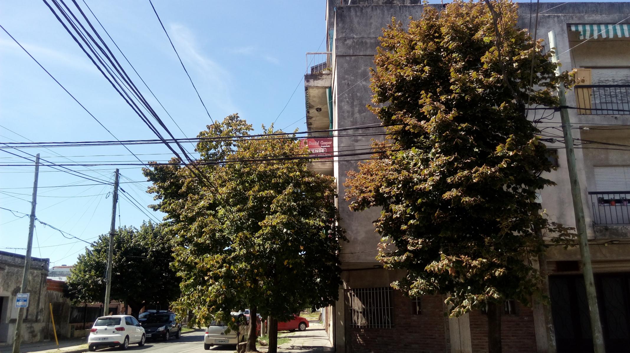 Dr. V. Alsina 1100 · Hurlingham — foto 4