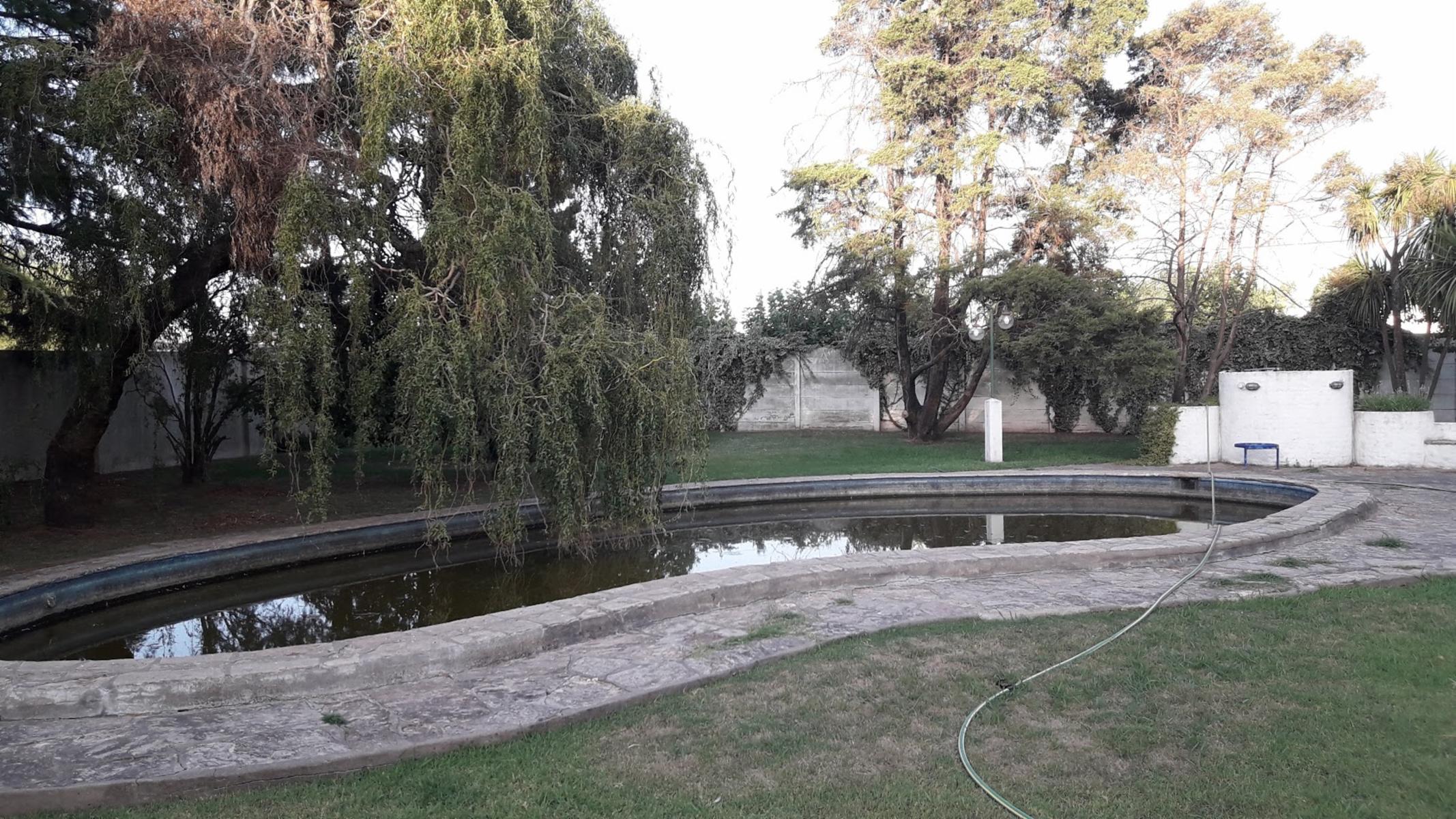 AV. CARLOS ARROYO · Carlos Casares — foto 15
