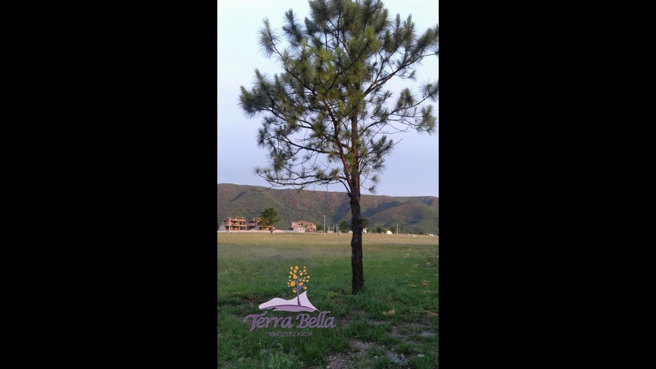 COUNTRY CARLOS PAZ GOLF · Punilla — foto 17