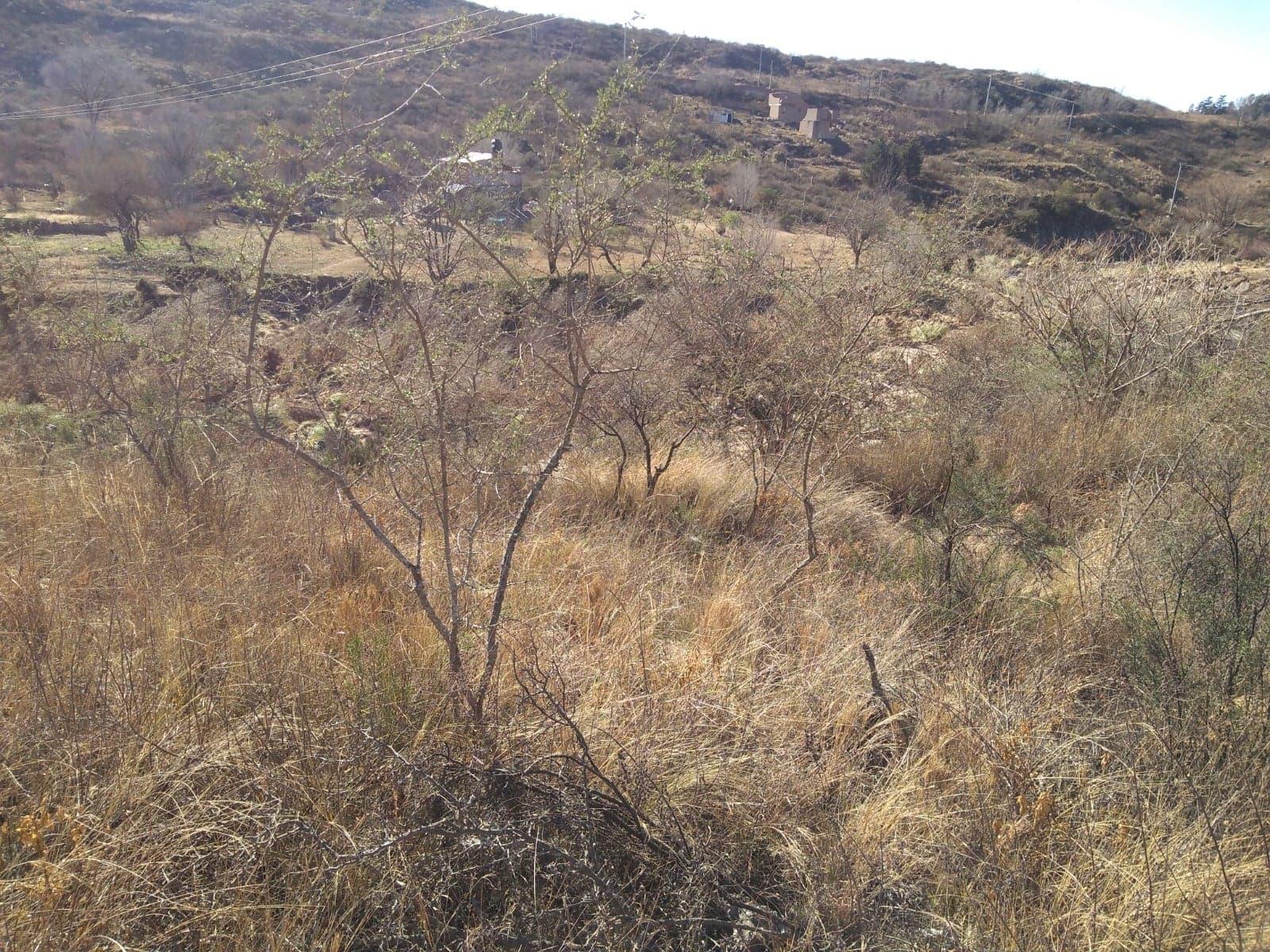 ALEJANDRIA · Punilla — foto 5