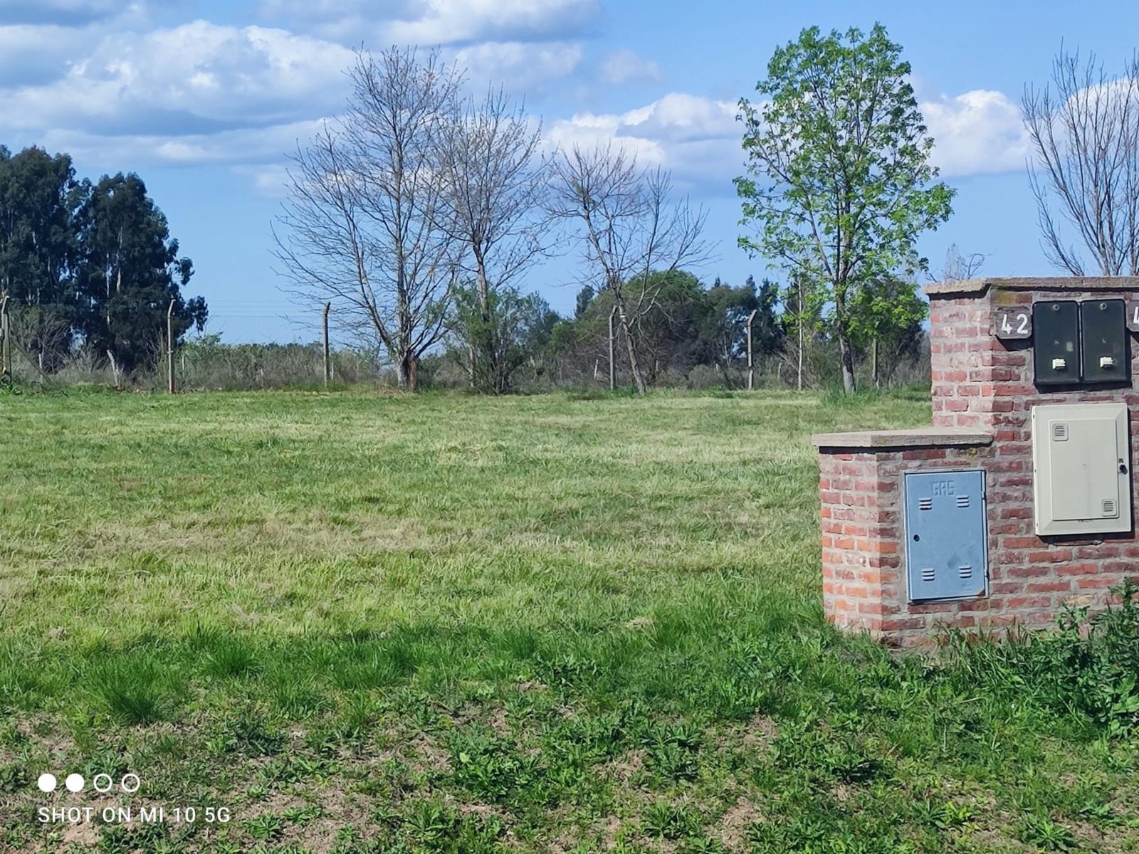 RUTA 4 · Campana — foto 11