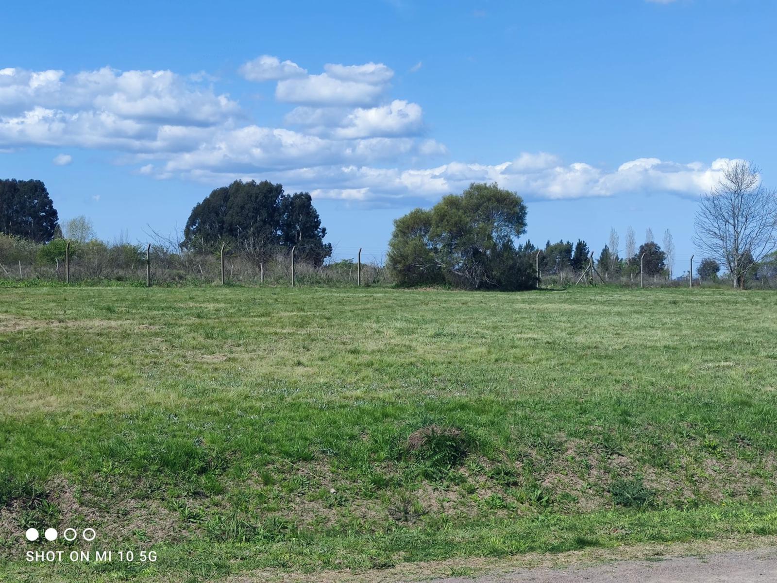 RUTA 4 · Campana — foto 14