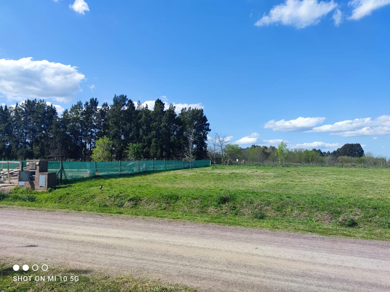 RUTA 4 · Campana — foto 15