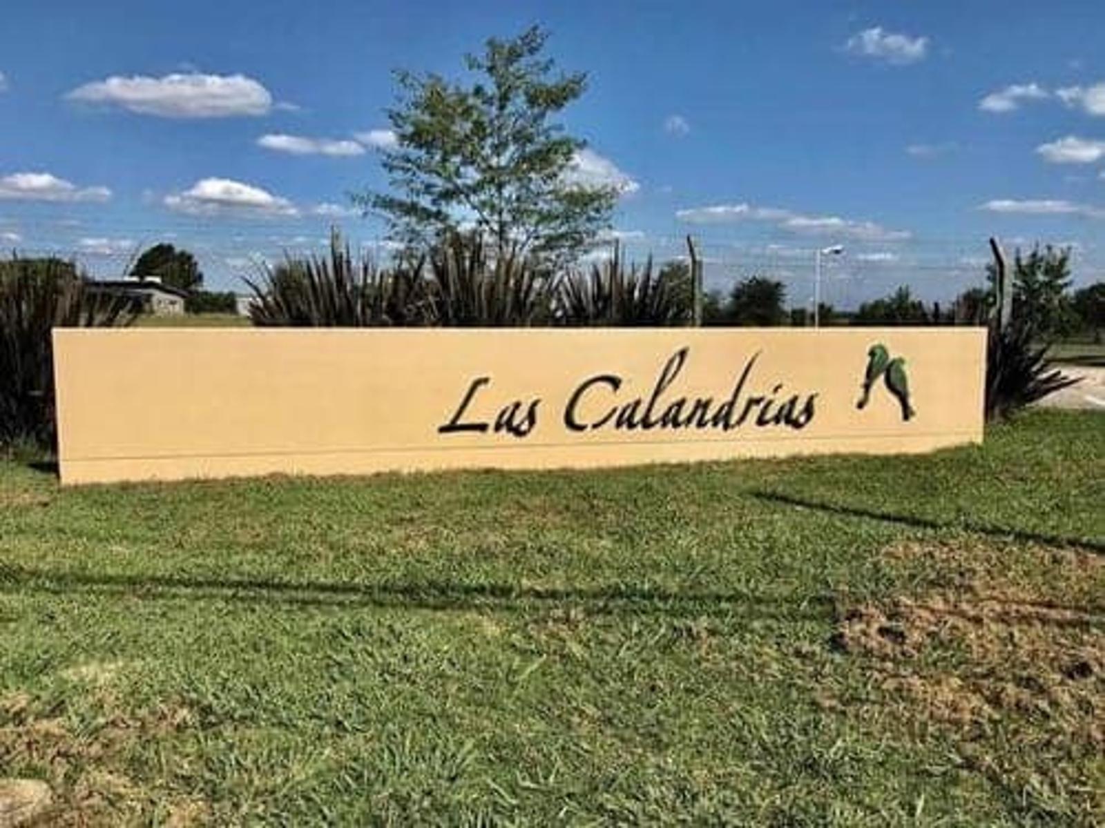 RUTA 4 · Campana — foto 6