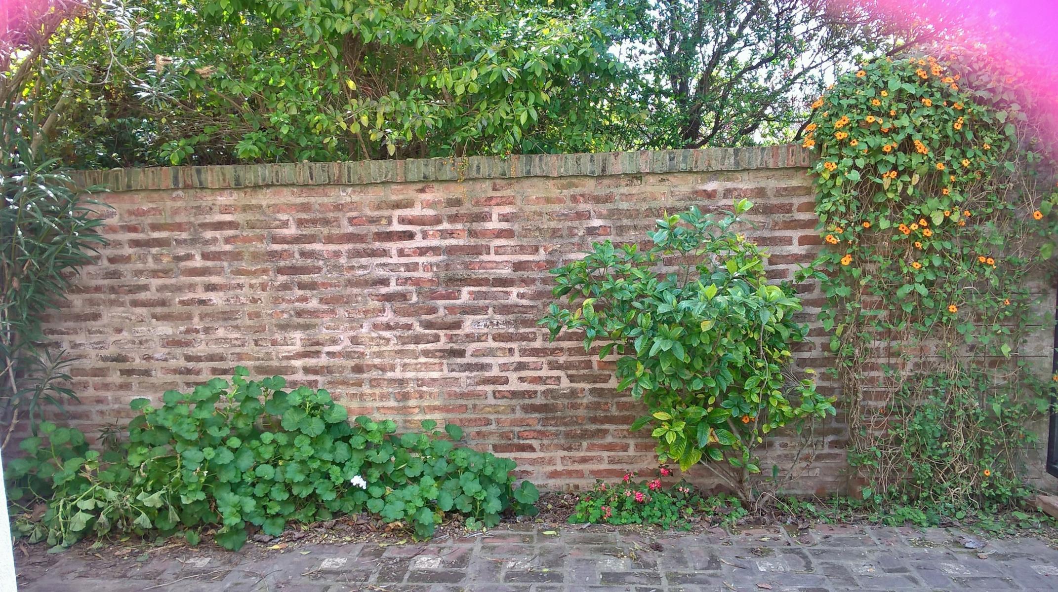 ALBERDI · San Antonio De Areco — foto 17