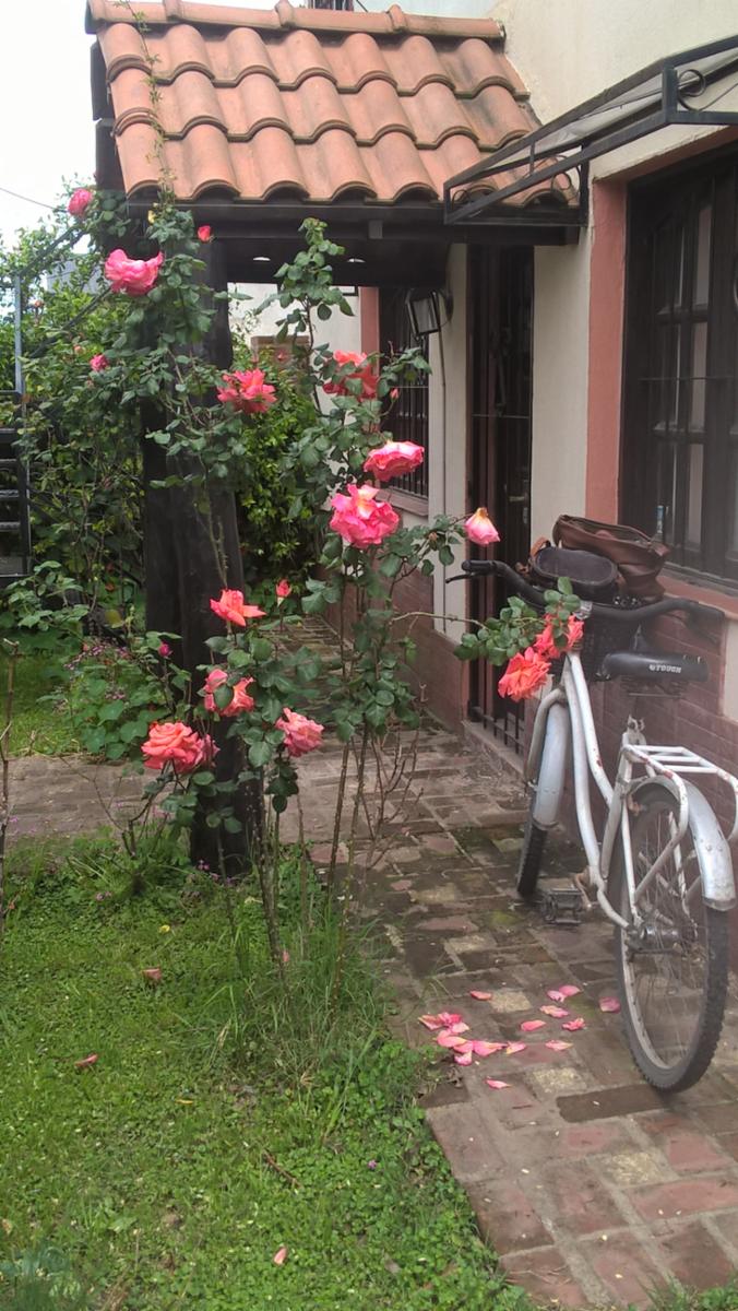 ALBERDI · San Antonio De Areco — foto 10