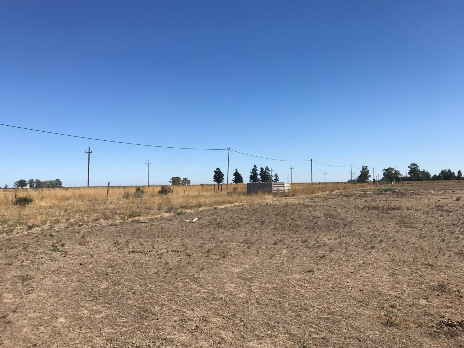 RUTA PROV.N°1 CAMINO AL CONDOR · Adolfo Alsina — foto 3