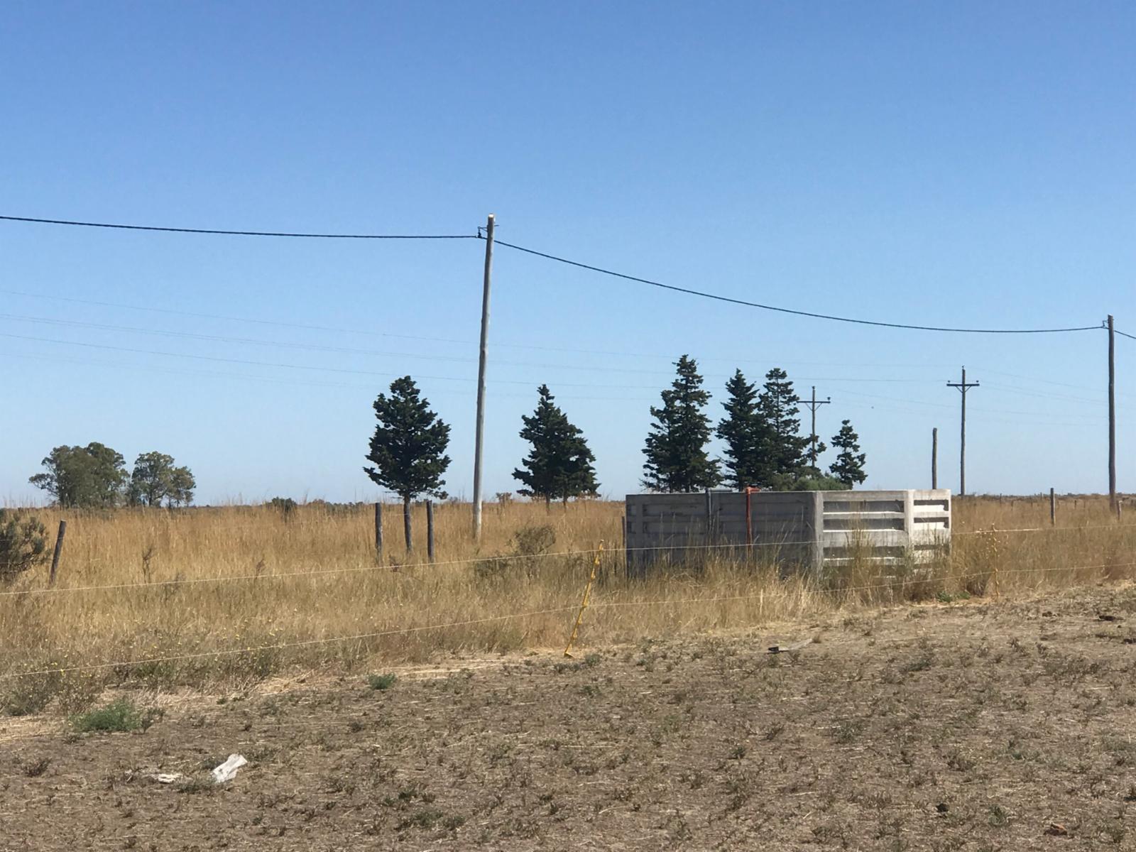 RUTA PROV.N°1 CAMINO AL CONDOR · Adolfo Alsina — foto 4