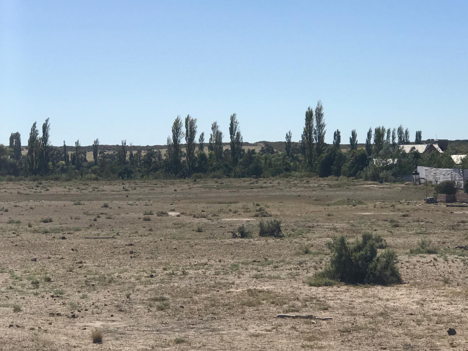 RUTA PROV.N°1 CAMINO AL CONDOR · Adolfo Alsina — foto 5