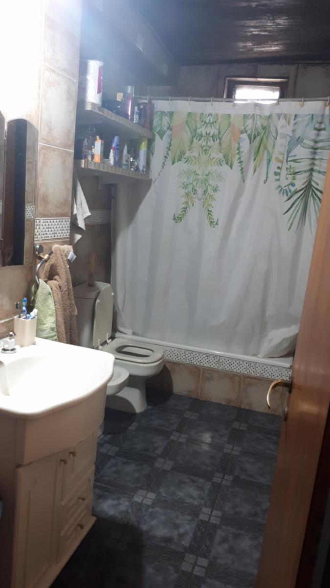 Conscripto Bernardi · Floresta — foto 12