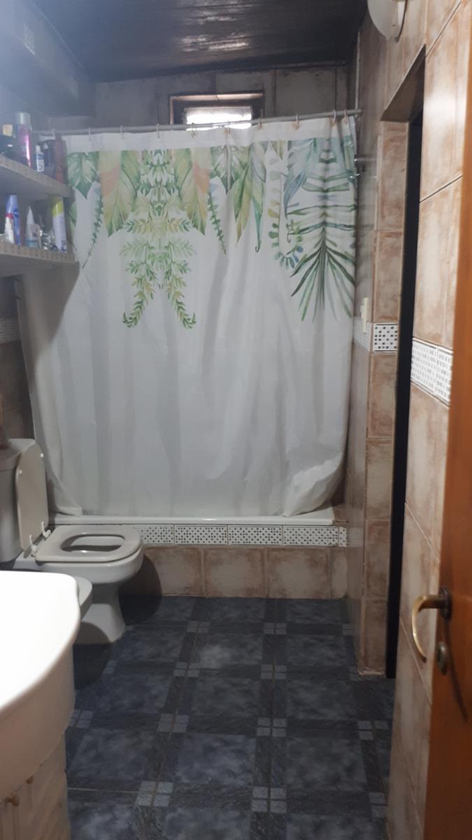 Conscripto Bernardi · Floresta — foto 13