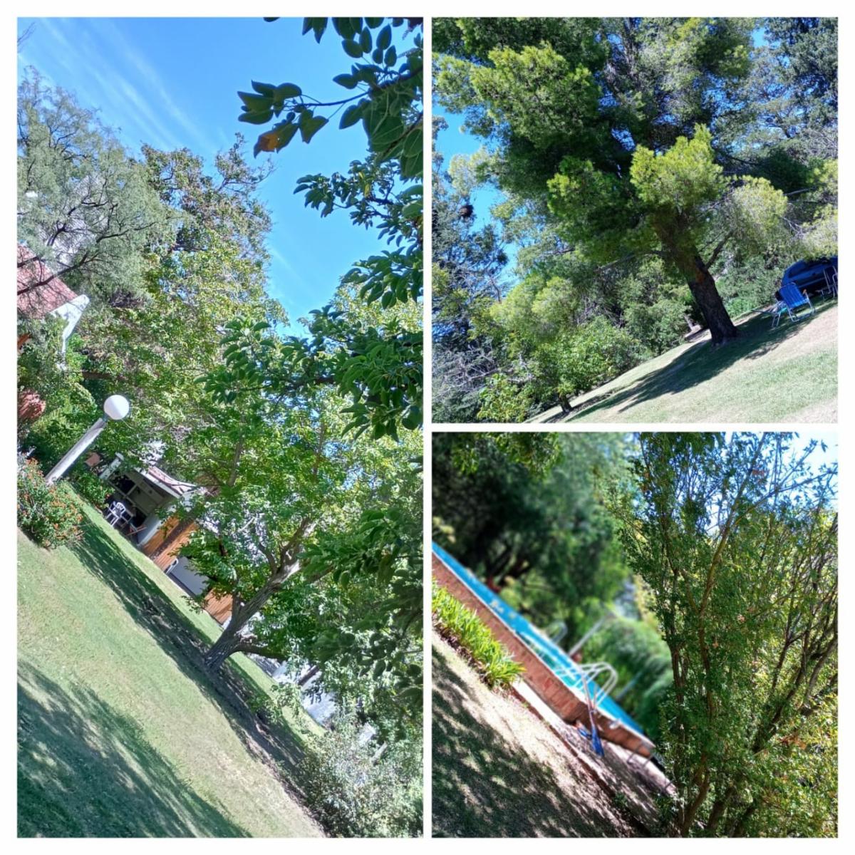 LOMA BOLA, TRASLASIERRA, CORDOBA · San Javier — foto 12
