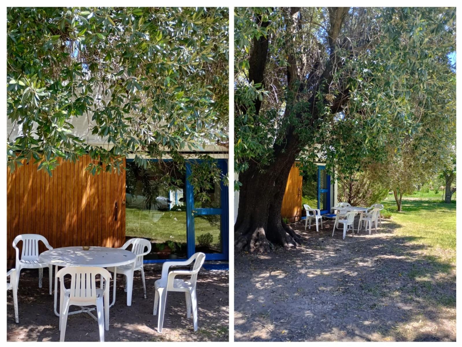 LOMA BOLA, TRASLASIERRA, CORDOBA · San Javier — foto 21
