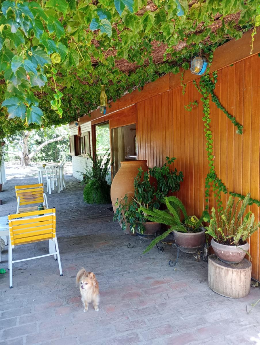 LOMA BOLA, TRASLASIERRA, CORDOBA · San Javier — foto 6
