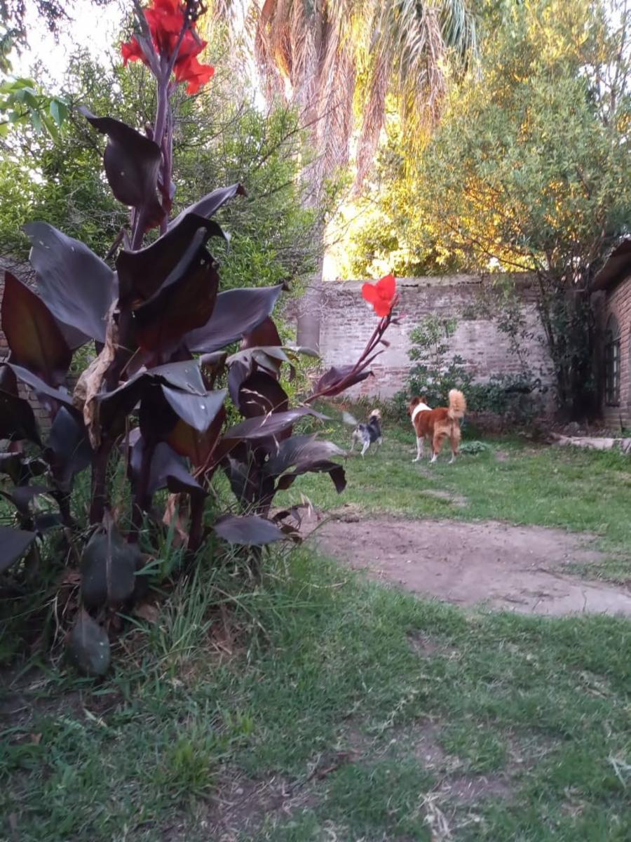 Campichuelo 4835 · San Martín — foto 4