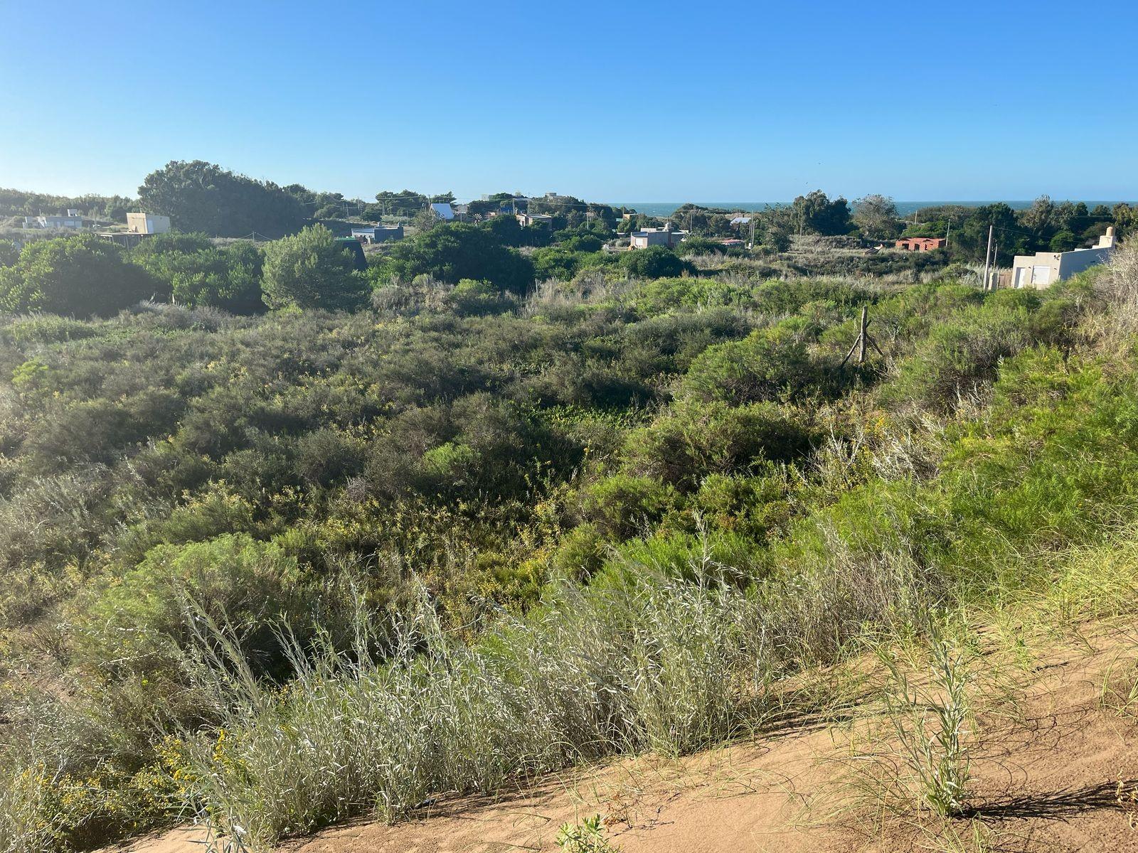 PULESTON CASI ESQ LA BALANDRA · Monte Hermoso — foto 3