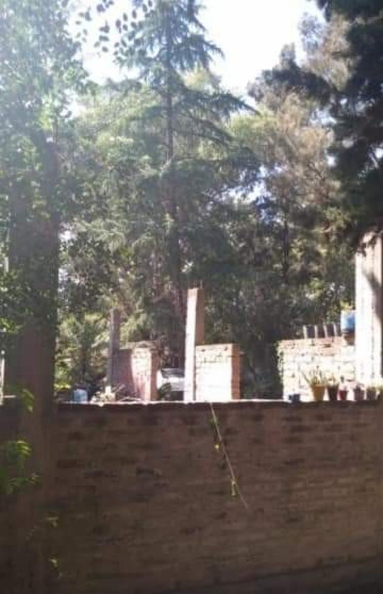 Benito Lynch · Ituzaingó — foto 8