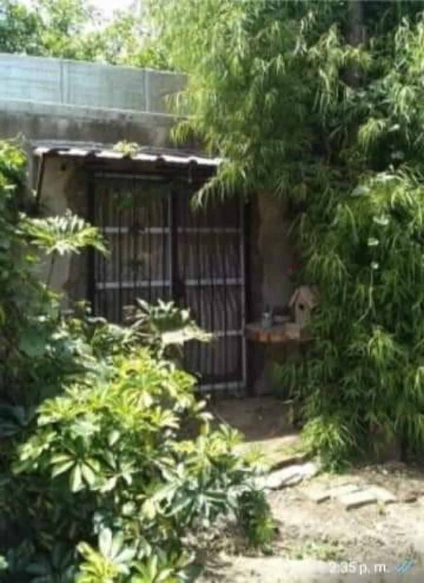 Benito Lynch · Ituzaingó — foto 10