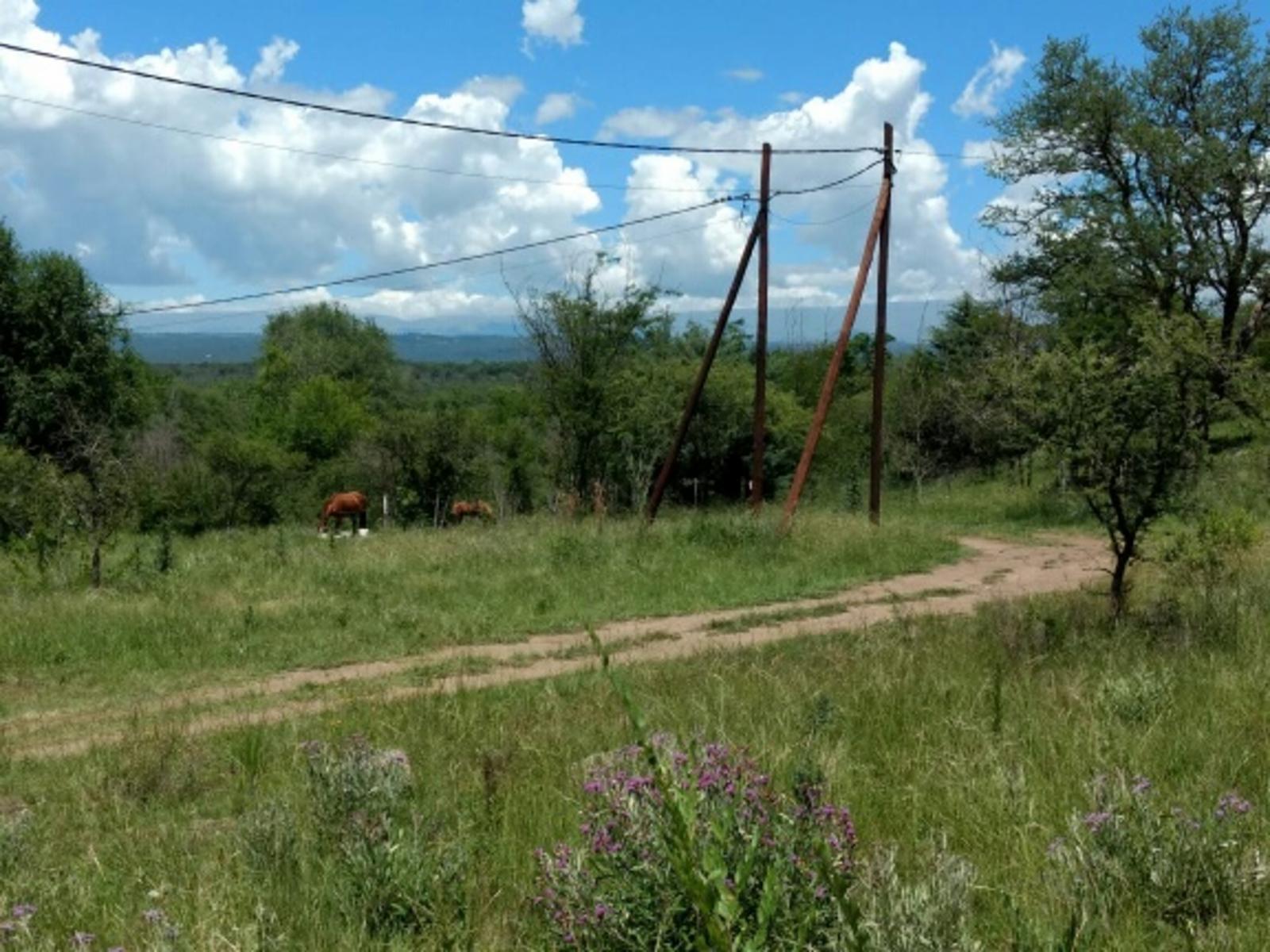 Calle S/N · Calamuchita — foto 4