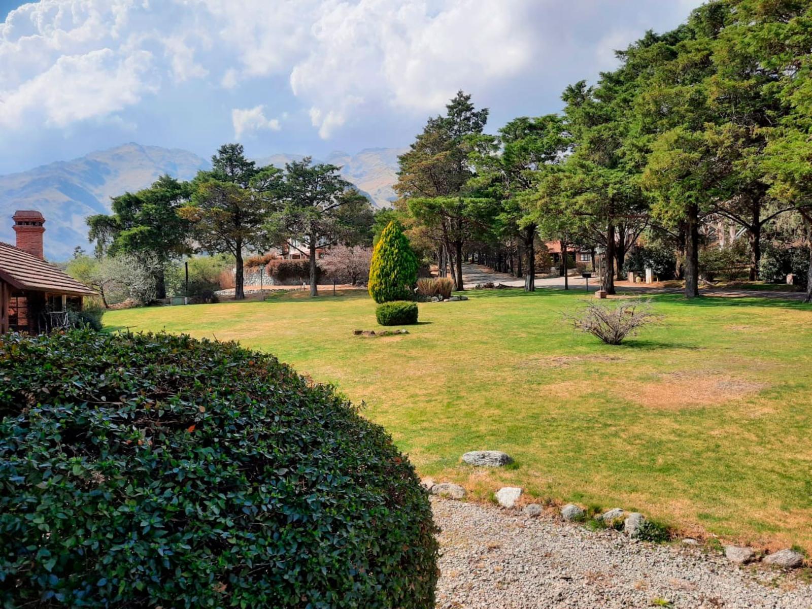 Panorámica Oeste · Junín — foto 12