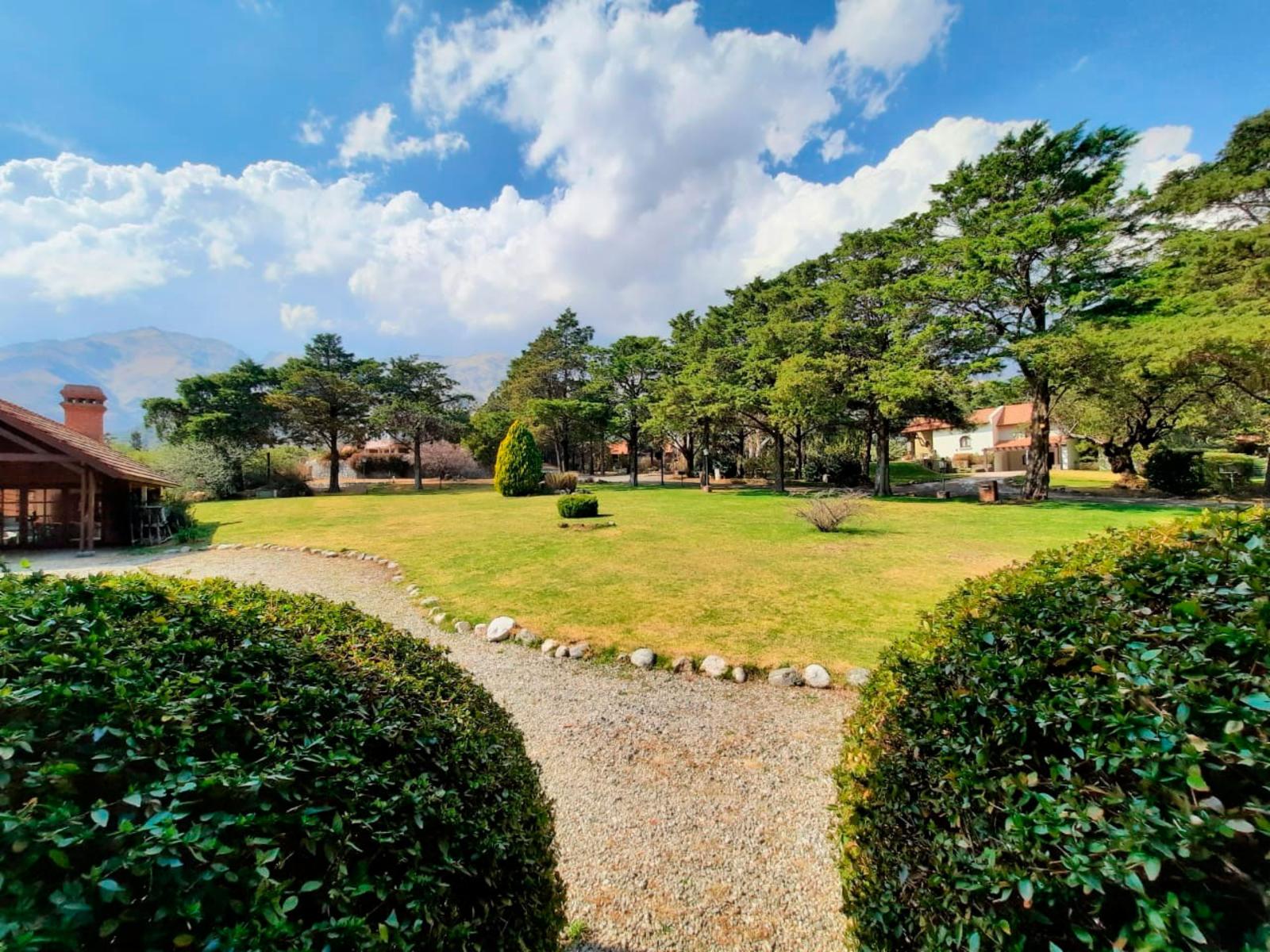 Panorámica Oeste · Junín — foto 16