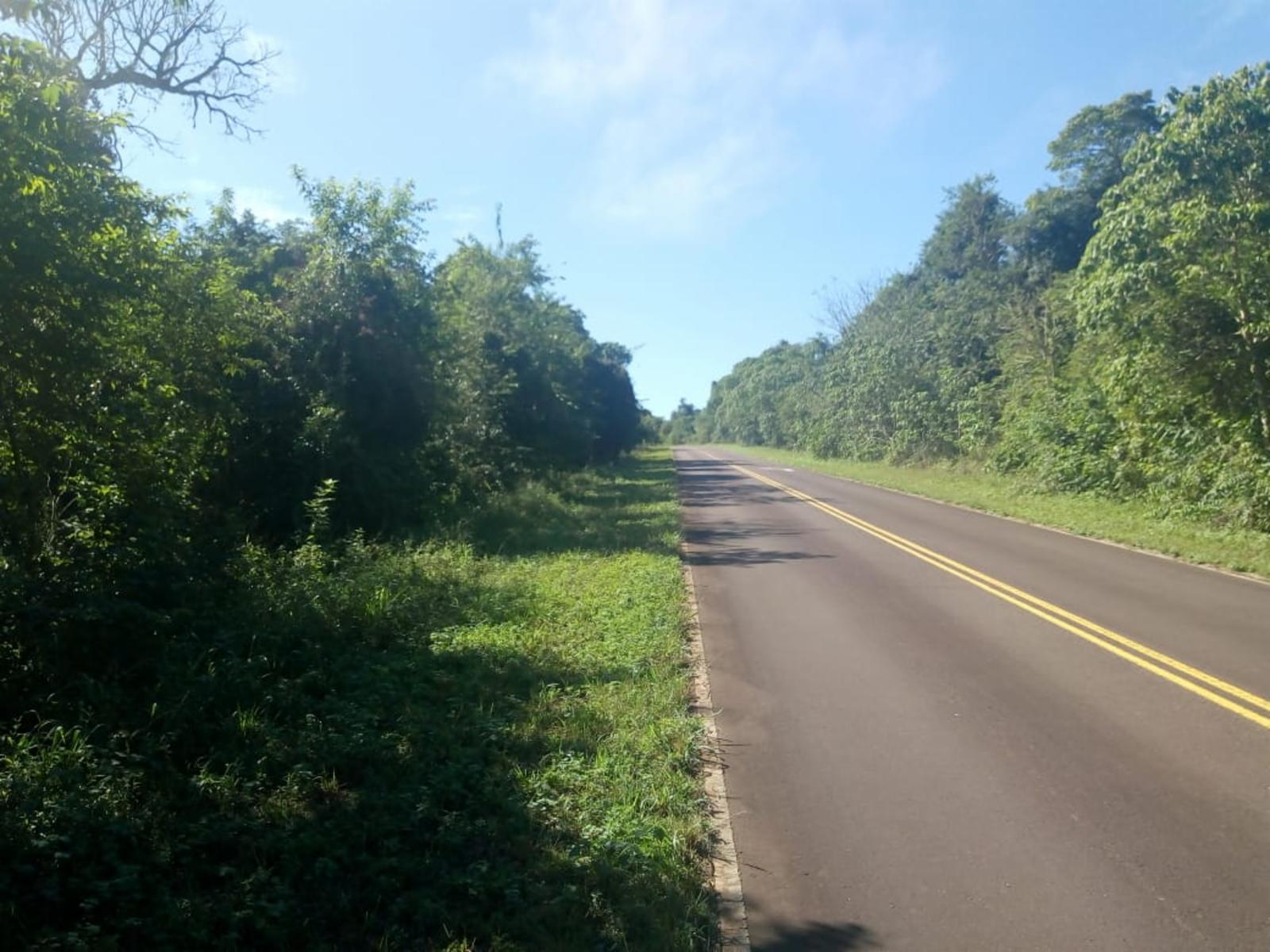 RUTA COSTERA 12 · Guaraní — foto 6