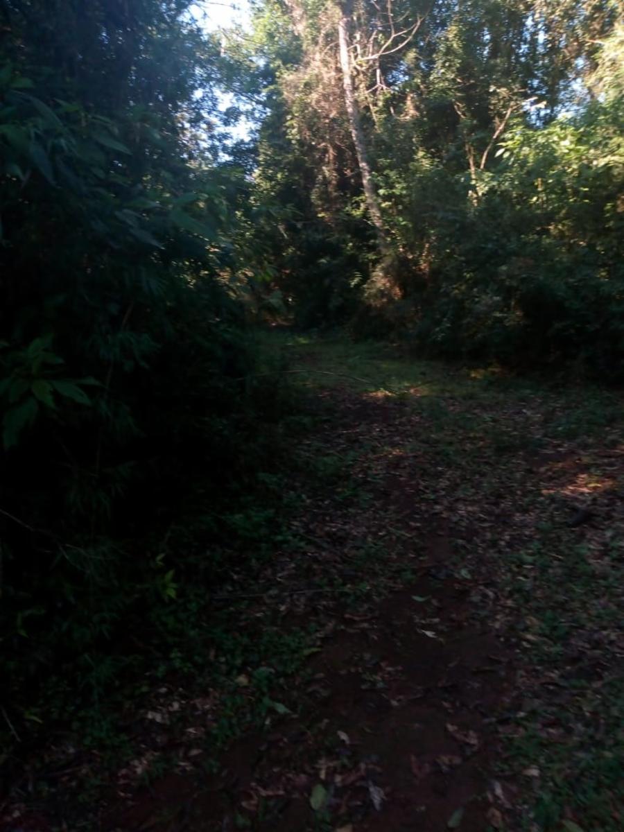 RUTA COSTERA 12 · Guaraní — foto 7