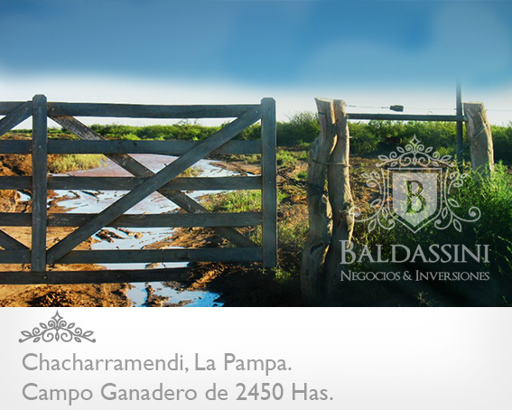 CAMPO GANADERO / COTO DE CAZA DE 2450 HECTÁREAS, CHACHARRAMENDI, LA PAMPA, REPÚBLICA ARGENTINA.