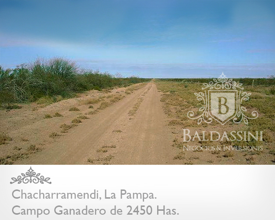 CAMPO GANADERO Y COTO DE CAZA DE 2450 HS EN LA PAMPA · Utracán — foto 3