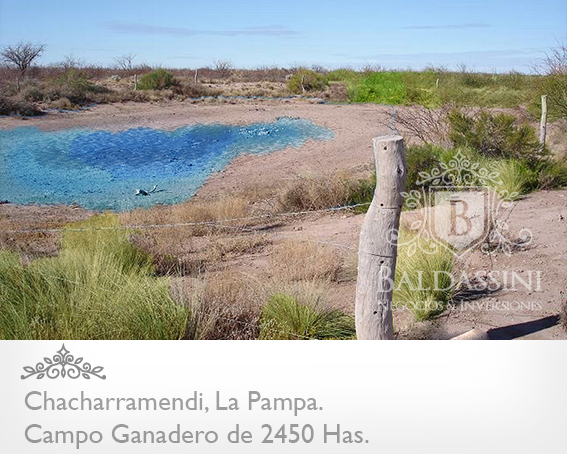 CAMPO GANADERO Y COTO DE CAZA DE 2450 HS EN LA PAMPA · Utracán — foto 4