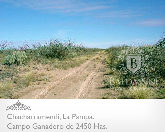 CAMPO GANADERO Y COTO DE CAZA DE 2450 HS EN LA PAMPA · Utracán — foto 5