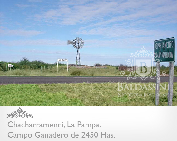 CAMPO GANADERO Y COTO DE CAZA DE 2450 HS EN LA PAMPA · Utracán — foto 6