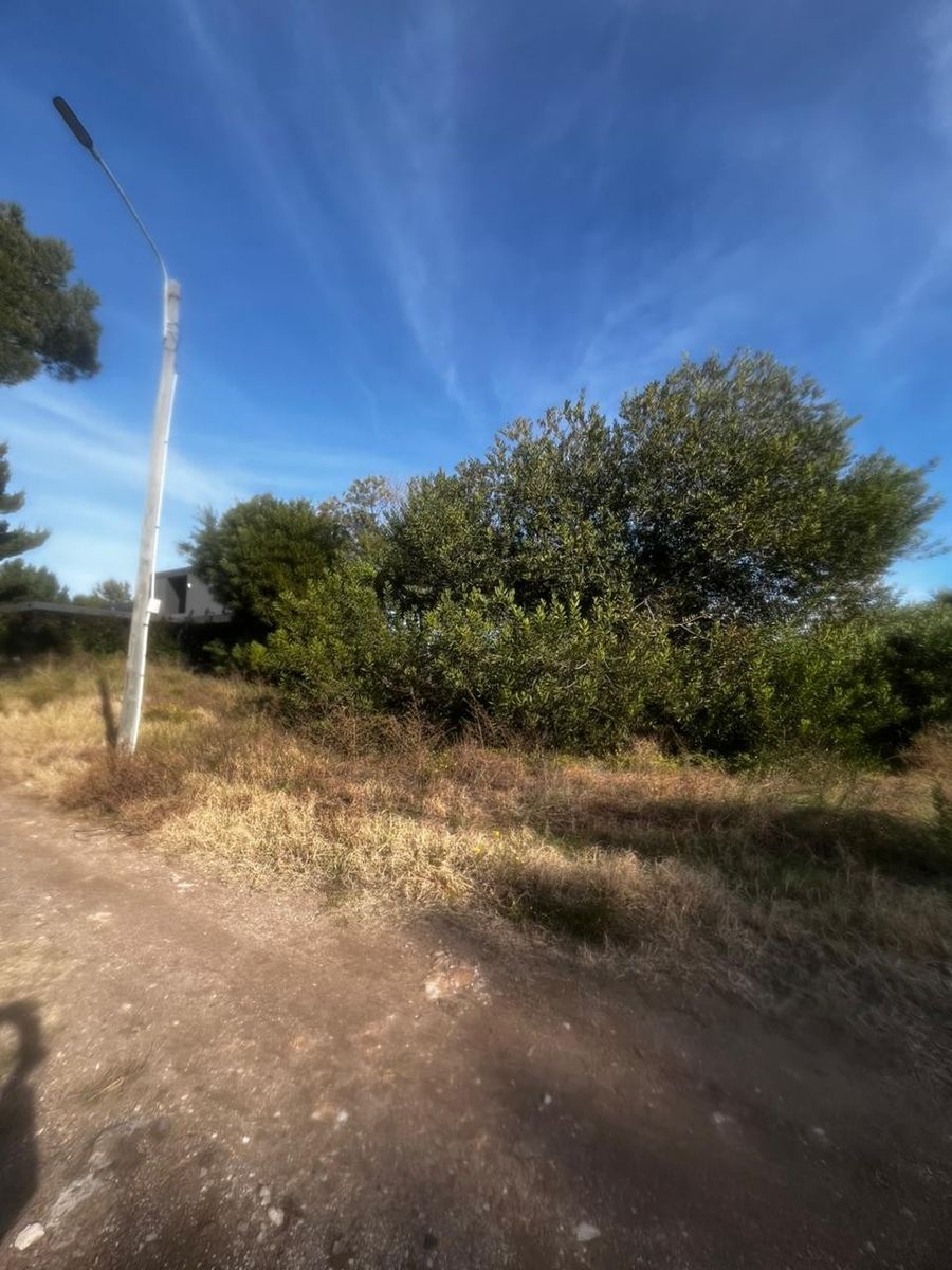 LAS URRACAS Y LAS COTORRAS · Monte Hermoso — foto 4
