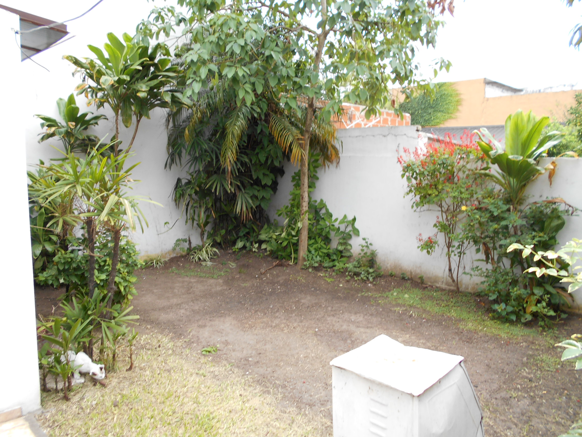 Alfredo Palacios 2409 · Hurlingham — foto 12