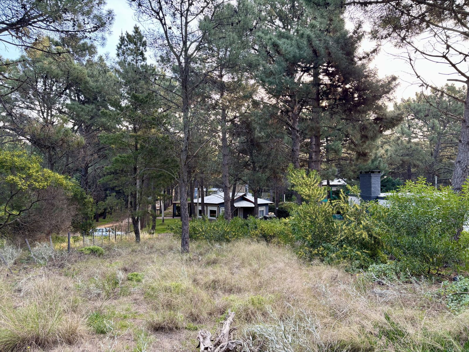 Del Cazon y Las Corvinas · Monte Hermoso — foto 4