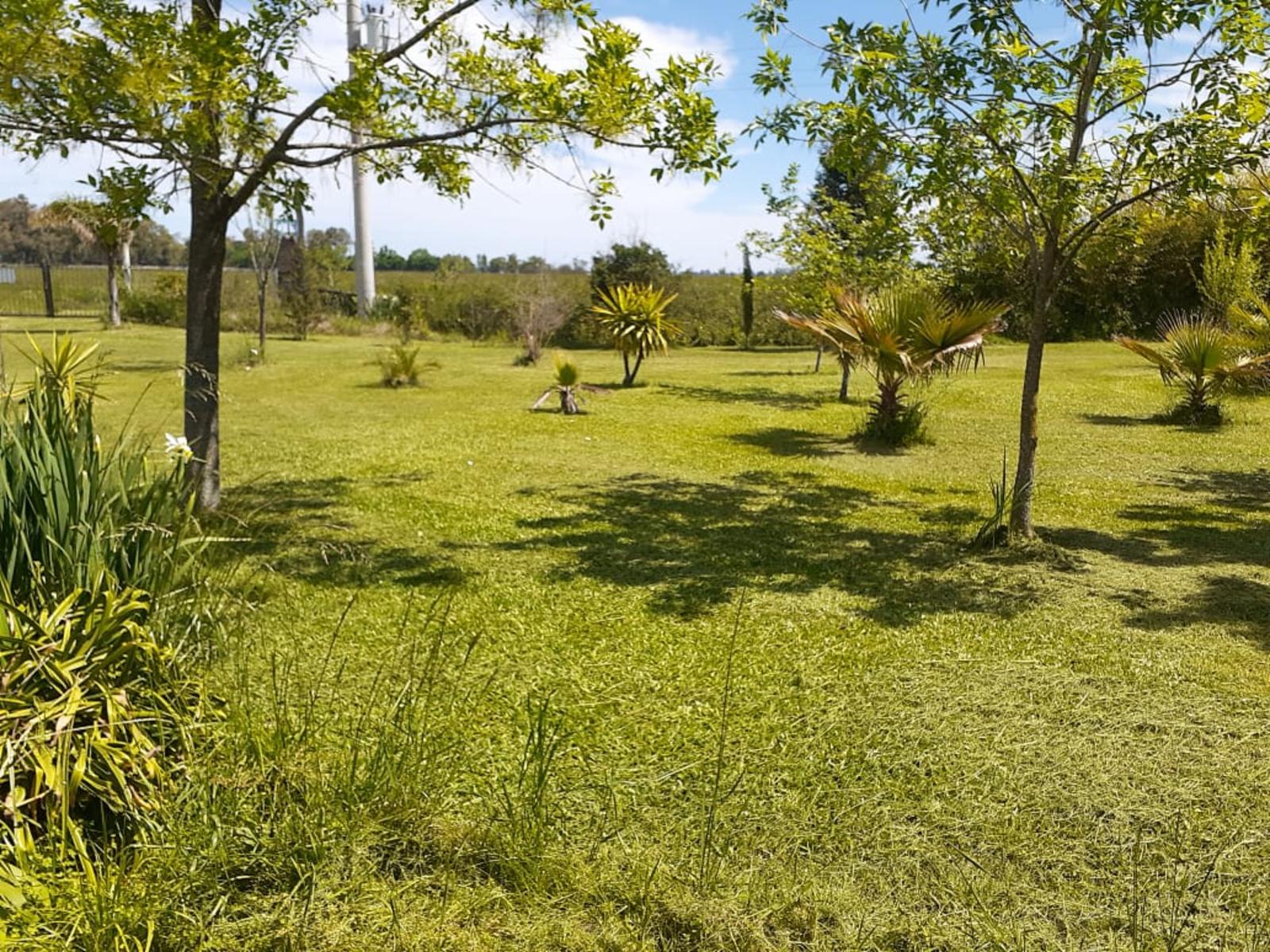 Camino a Lozano · General Las Heras — foto 5