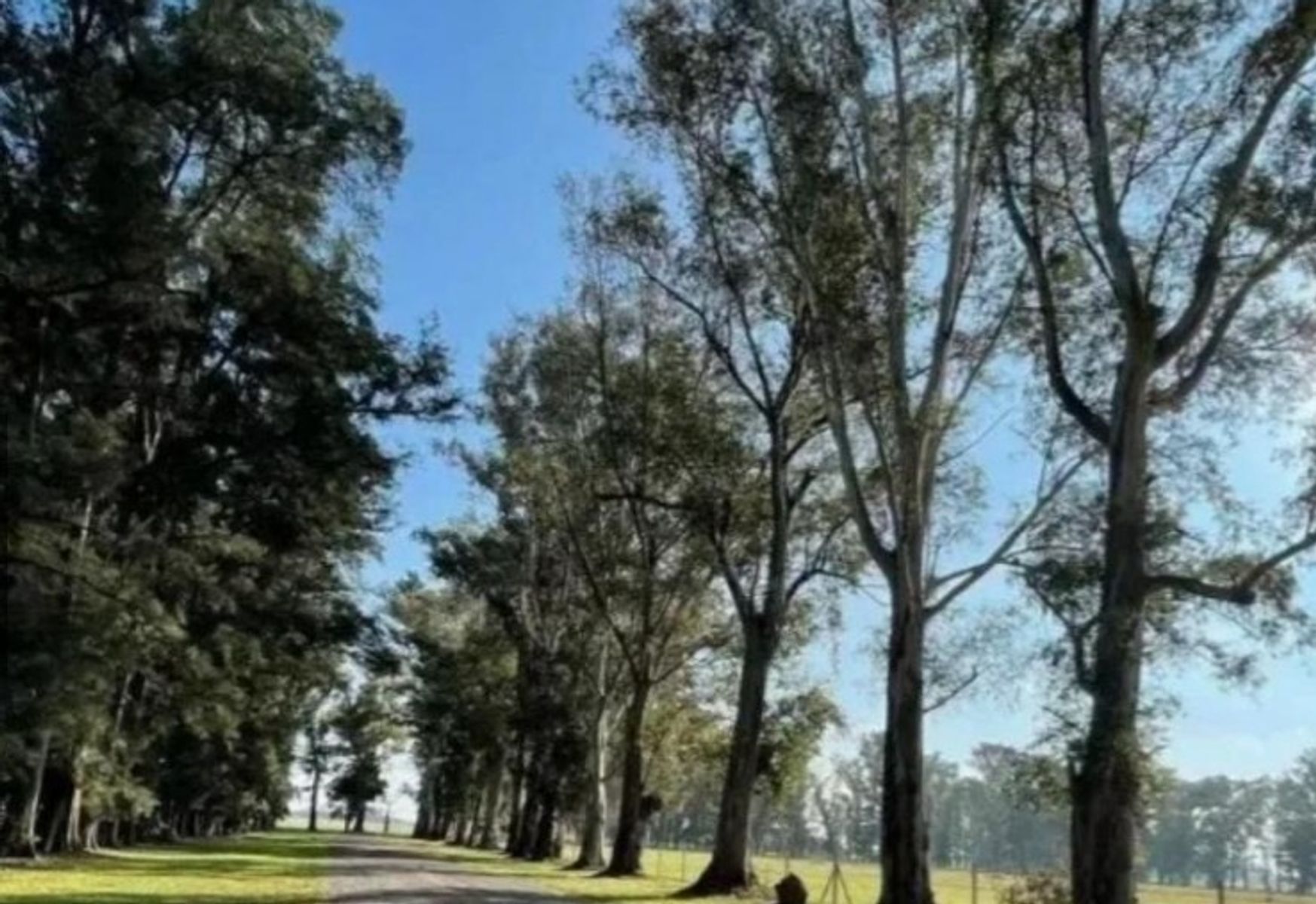 RUTA 6 KM 142 · General Rodriguez — foto 3