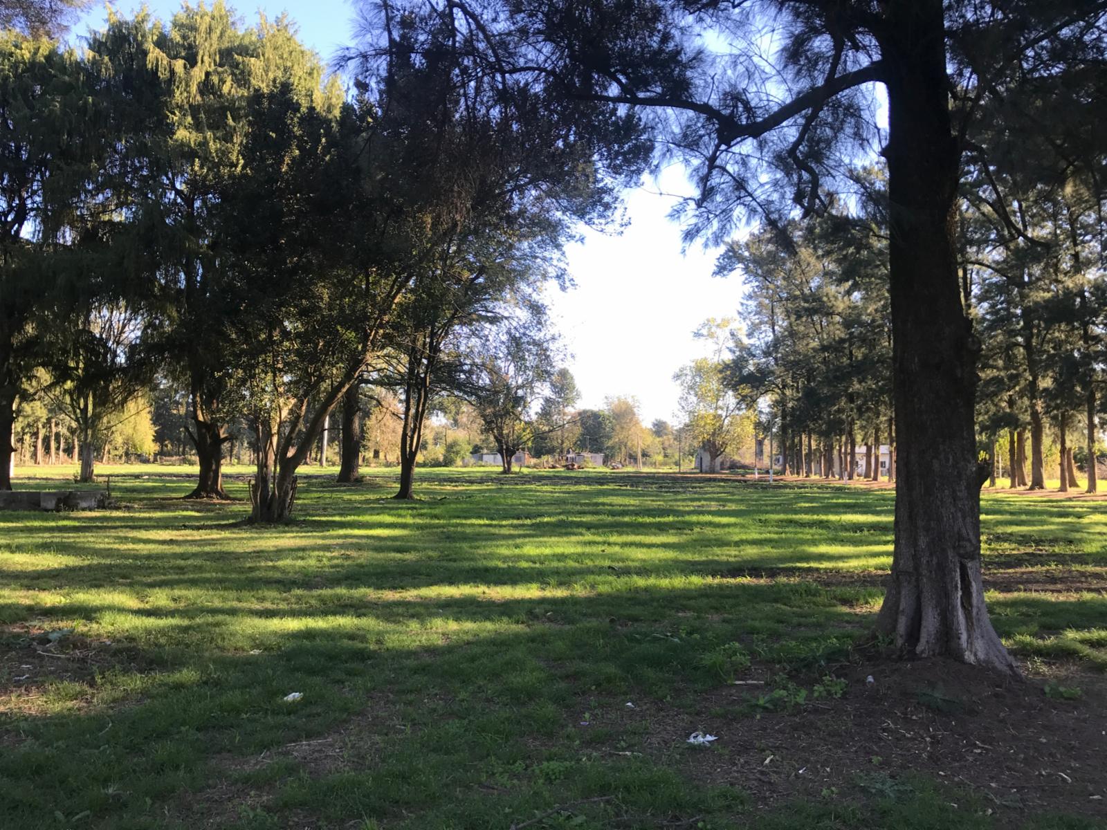 vidt 1700 · Moreno — foto 3