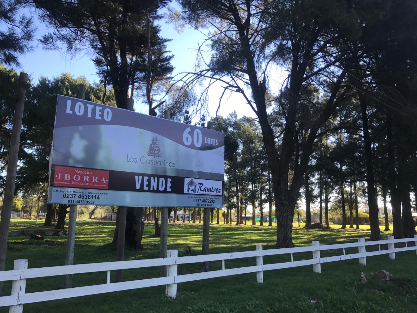 vidt 1700 · Moreno — foto 4