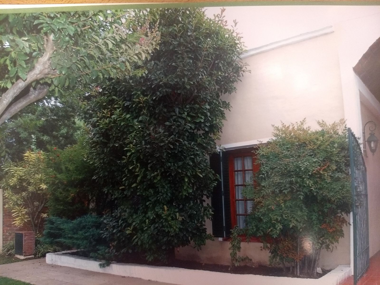 Lozano · General Las Heras — foto 3