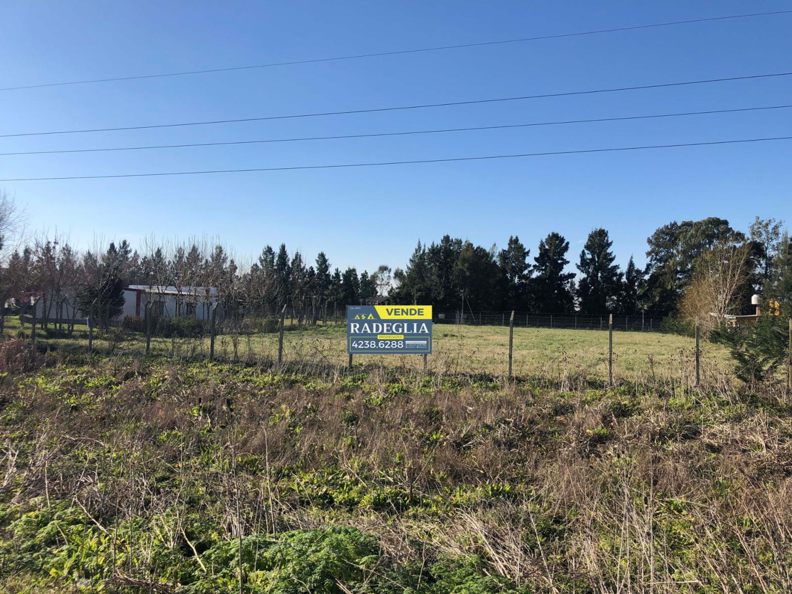 Ruta 210 - Domselar, San vicente · San Vicente — foto 4