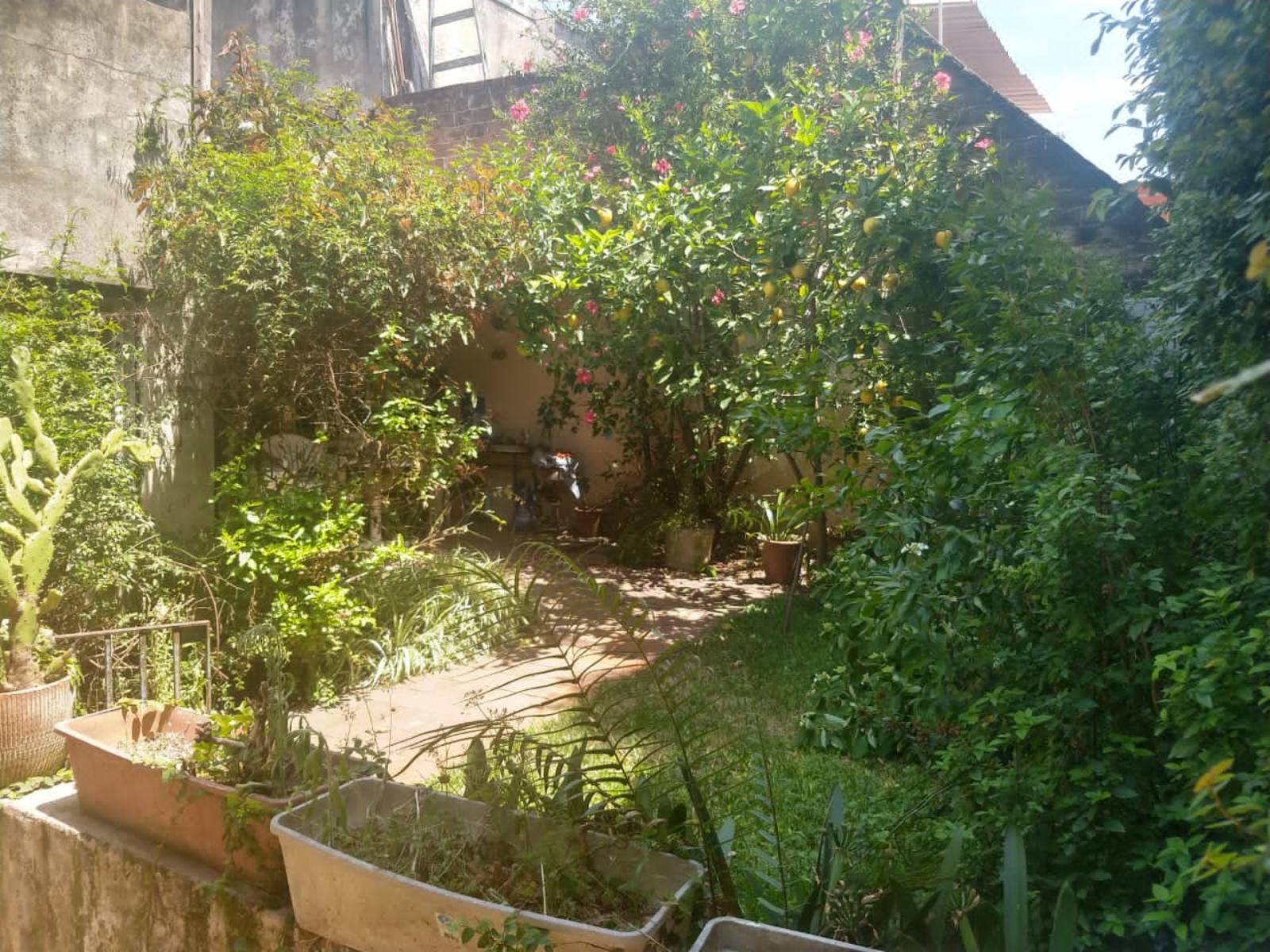 Checoslovaquia 4300 · Floresta — foto 17